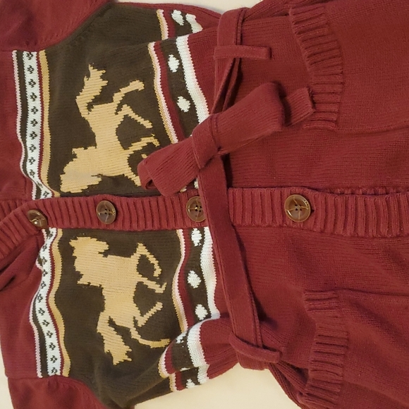 2 Tunic Length Hooded Sweaters - Picture 7 of 9